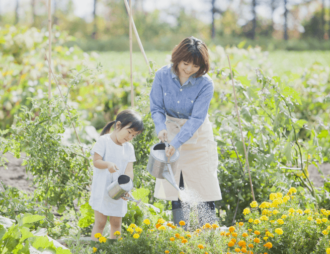 家庭菜園をはじめたい